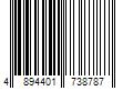 Barcode Image for UPC code 4894401738787