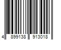 Barcode Image for UPC code 48991389130115