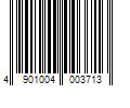 Barcode Image for UPC code 4901004003713