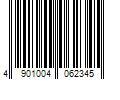 Barcode Image for UPC code 4901004062345