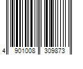 Barcode Image for UPC code 4901008309873