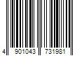 Barcode Image for UPC code 4901043731981