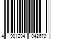 Barcode Image for UPC code 4901204042673