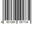 Barcode Image for UPC code 4901264091734