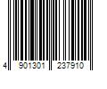 Barcode Image for UPC code 4901301237910