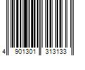 Barcode Image for UPC code 4901301313133