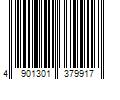 Barcode Image for UPC code 4901301379917