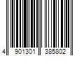 Barcode Image for UPC code 4901301385802