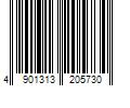 Barcode Image for UPC code 4901313205730