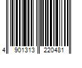 Barcode Image for UPC code 4901313220481