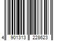 Barcode Image for UPC code 4901313228623