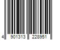 Barcode Image for UPC code 4901313228951