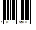 Barcode Image for UPC code 4901313810590