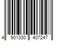 Barcode Image for UPC code 4901330407247