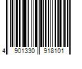 Barcode Image for UPC code 4901330918101