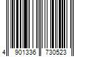 Barcode Image for UPC code 4901336730523