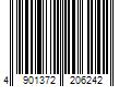 Barcode Image for UPC code 4901372206242