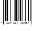 Barcode Image for UPC code 4901438897957