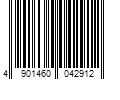 Barcode Image for UPC code 4901460042912