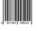 Barcode Image for UPC code 4901464095242