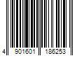 Barcode Image for UPC code 4901601186253