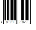 Barcode Image for UPC code 4901610730713