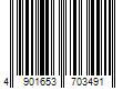 Barcode Image for UPC code 4901653703491