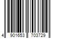 Barcode Image for UPC code 4901653703729