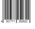 Barcode Image for UPC code 4901777252622