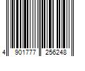 Barcode Image for UPC code 4901777256248