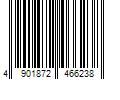 Barcode Image for UPC code 4901872466238