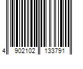 Barcode Image for UPC code 4902102133791