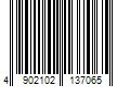 Barcode Image for UPC code 4902102137065