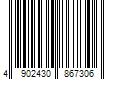 Barcode Image for UPC code 4902430867306