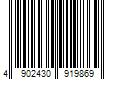 Barcode Image for UPC code 4902430919869