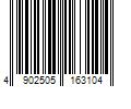 Barcode Image for UPC code 4902505163104