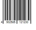 Barcode Image for UPC code 4902585121230