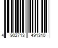 Barcode Image for UPC code 4902713491310