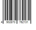 Barcode Image for UPC code 4902870762131