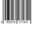 Barcode Image for UPC code 4903016071841