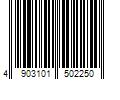 Barcode Image for UPC code 4903101502250