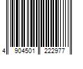 Barcode Image for UPC code 4904501222977