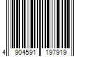 Barcode Image for UPC code 4904591197919