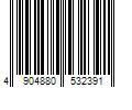 Barcode Image for UPC code 4904880532391