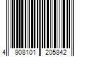 Barcode Image for UPC code 4908101205842