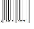 Barcode Image for UPC code 4953171203731