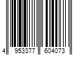 Barcode Image for UPC code 4953377604073