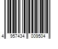 Barcode Image for UPC code 4957434009504