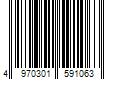 Barcode Image for UPC code 4970301591063