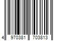 Barcode Image for UPC code 4970381703813